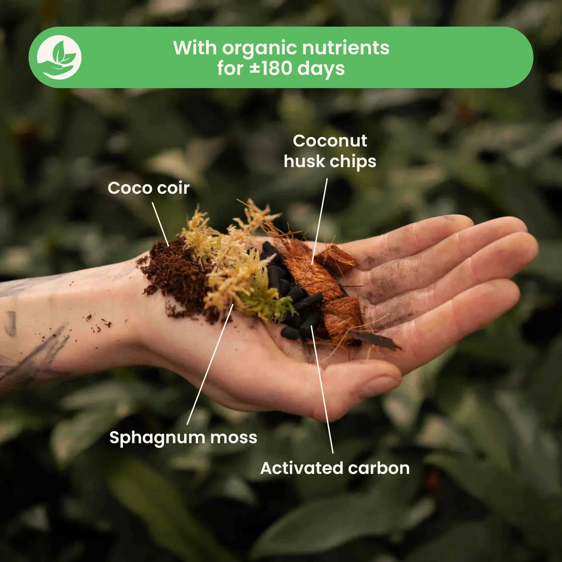 Terrariummix_Ingrediënts_EN
