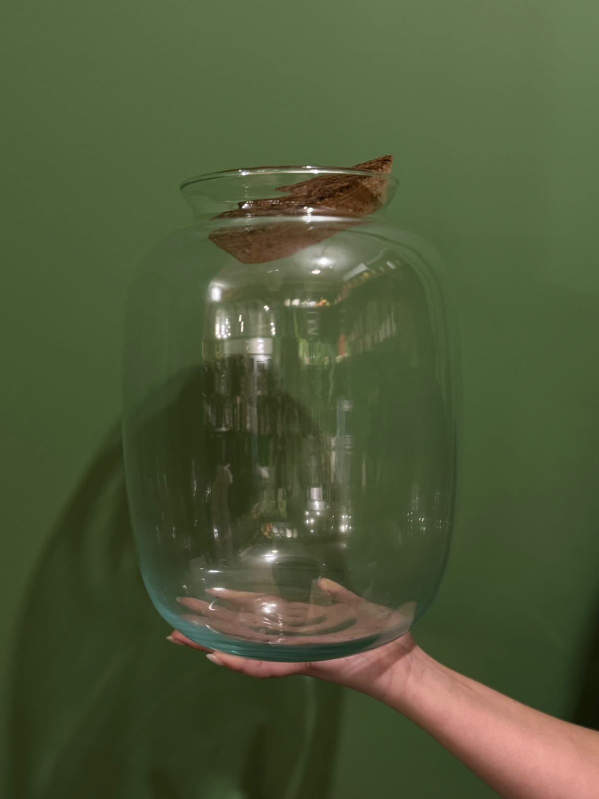 Terrario Bioma Oval