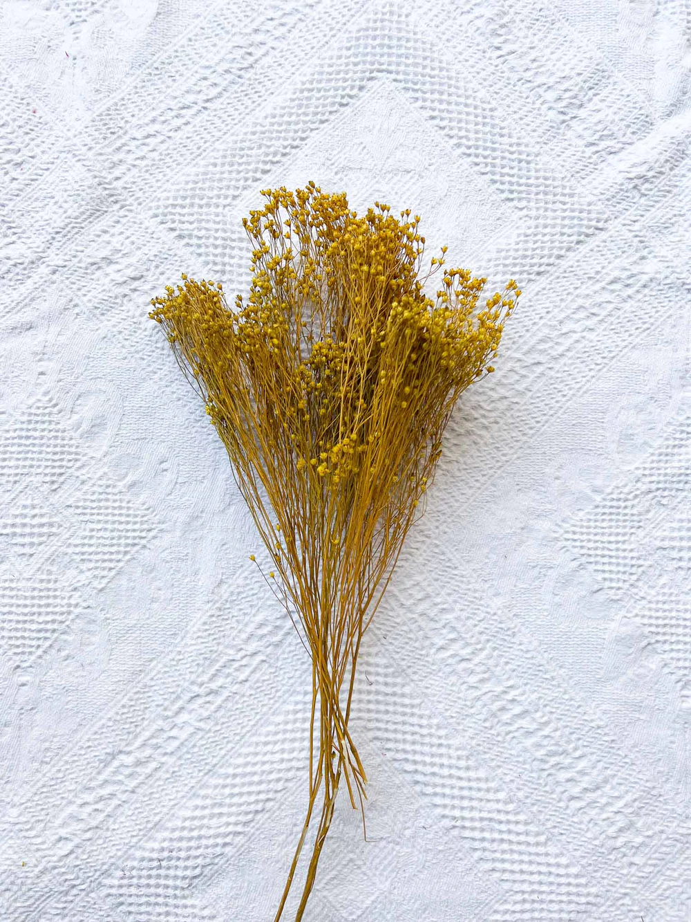 geronimo-mazzo-per-bouquet-di-fiori-secchi-giallo-senape-118769