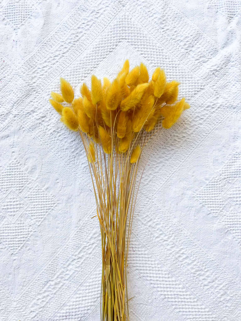 geronimo-mazzo-per-bouquet-di-fiori-secchi-giallo-senape-131917