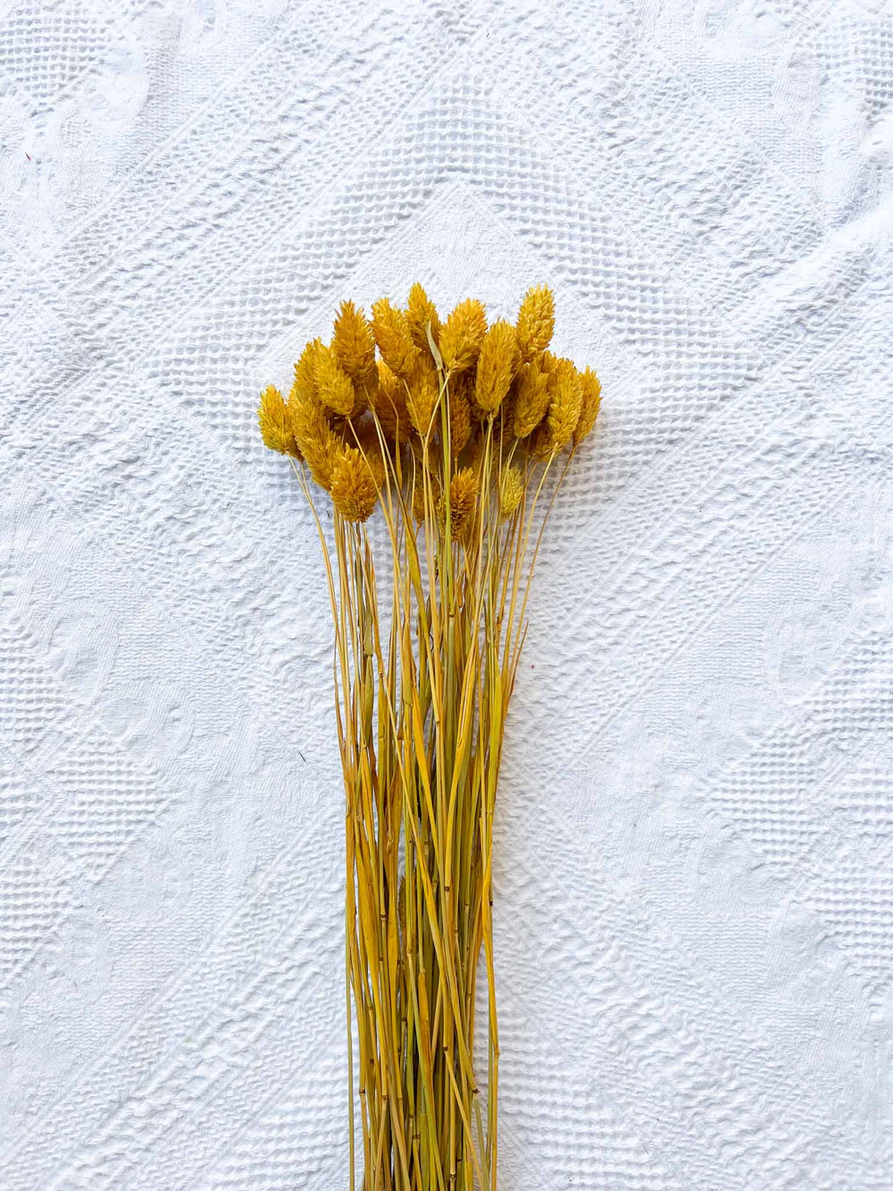 geronimo-mazzo-per-bouquet-di-fiori-secchi-giallo-senape-417488