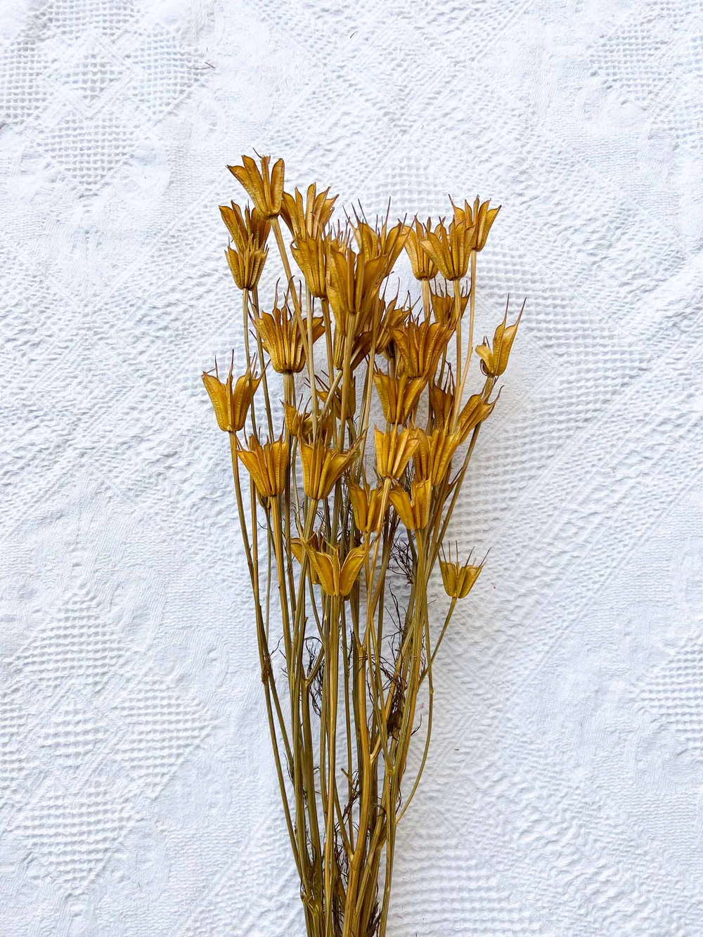 geronimo-mazzo-per-bouquet-di-fiori-secchi-giallo-senape-979910